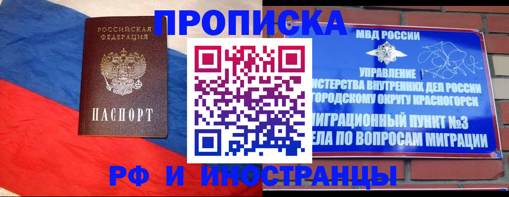 временная регистрация для всех в ЕАО